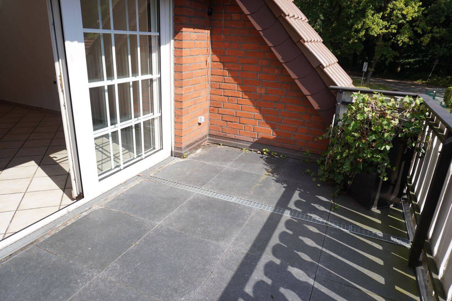 Bild 7