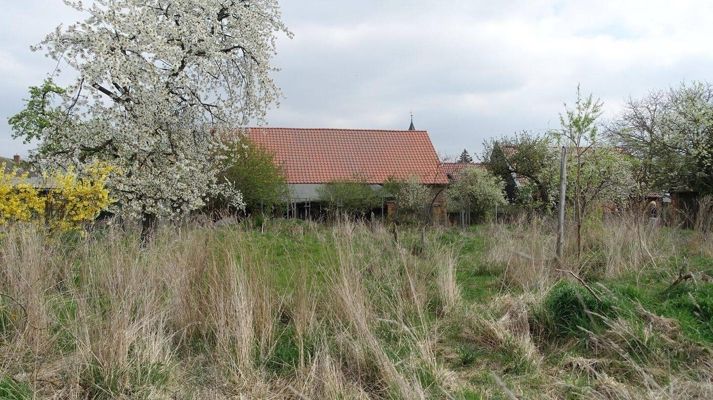 Bild 8