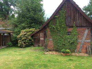 Bild 14