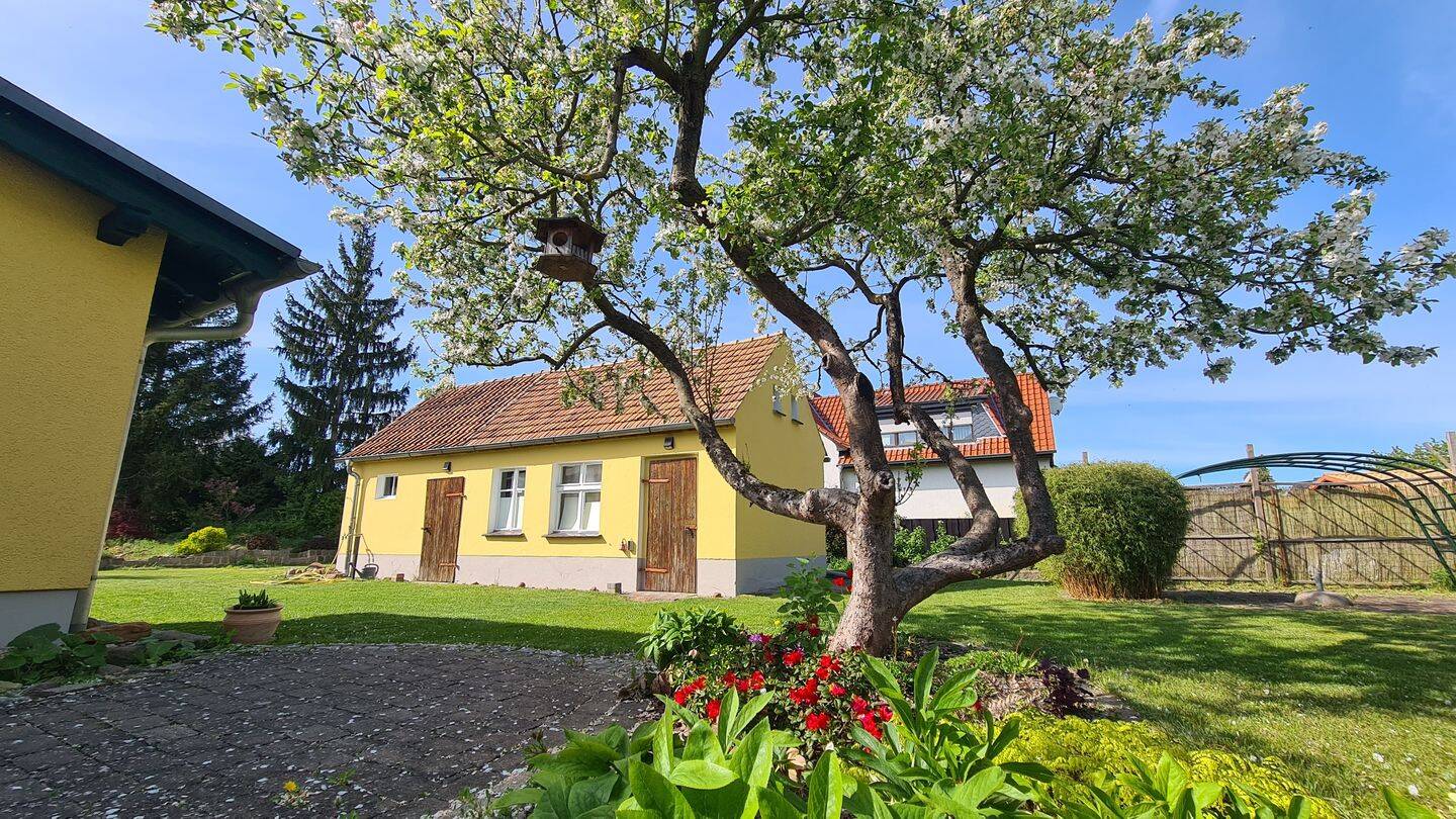 Bild 16