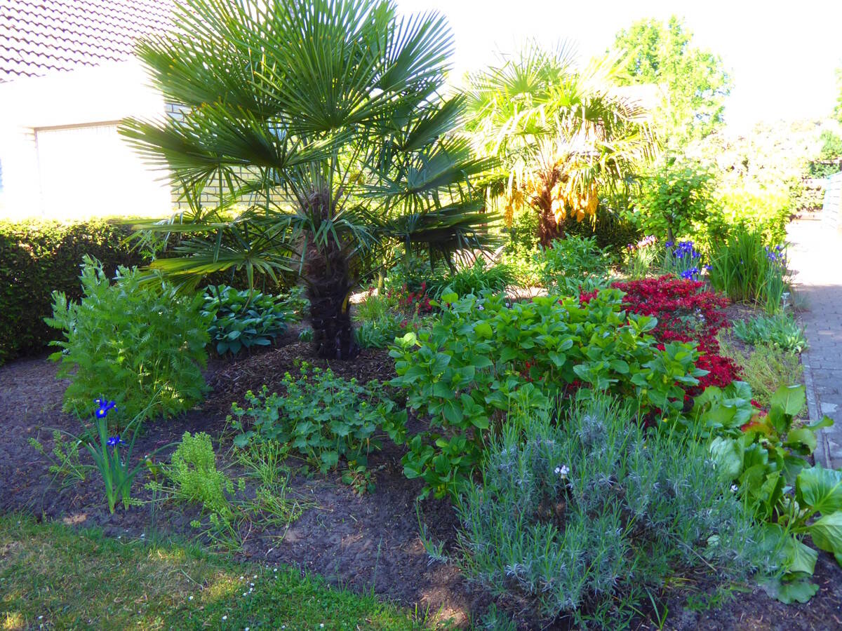 Bild 12
