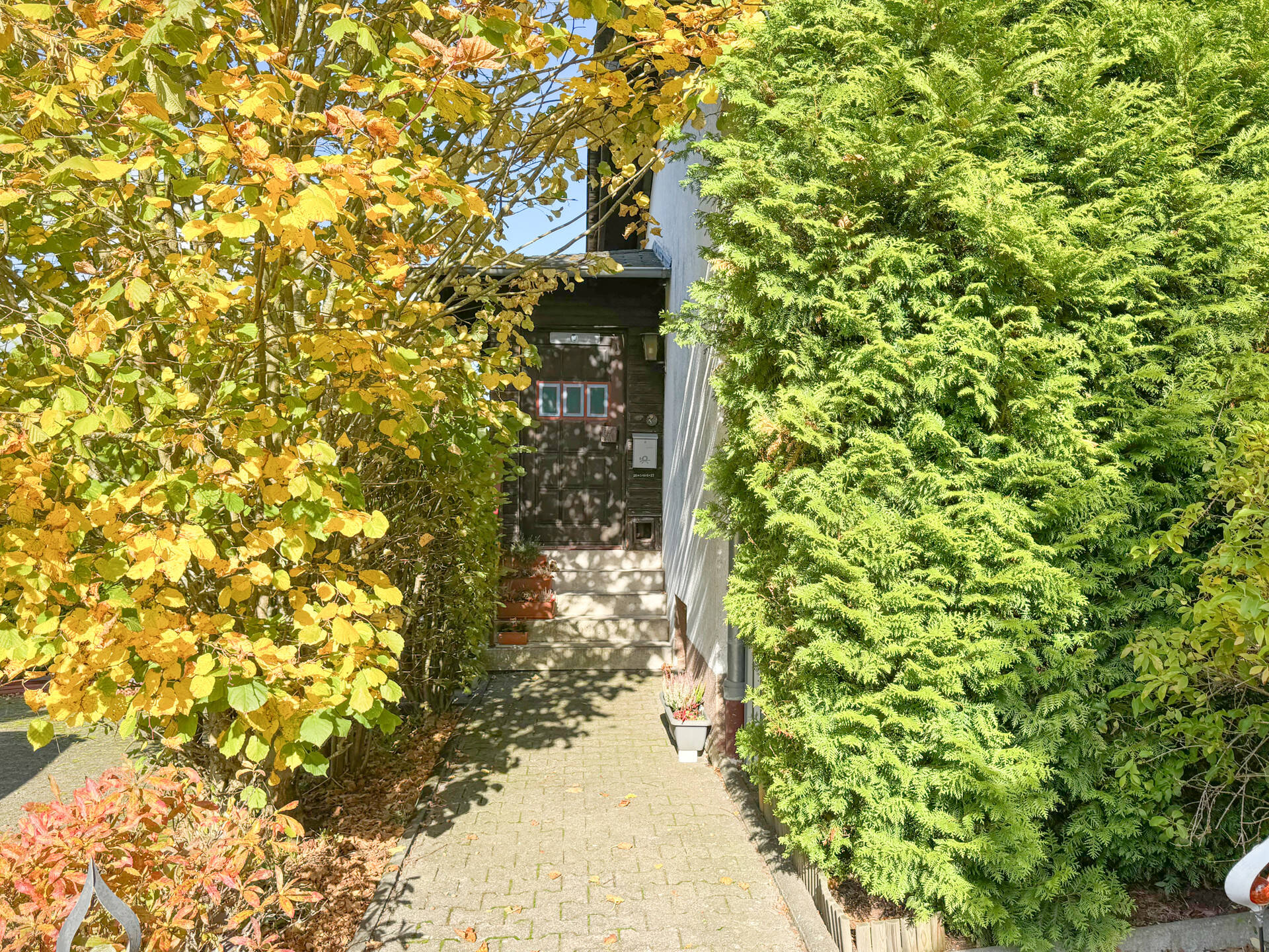 Bild 6