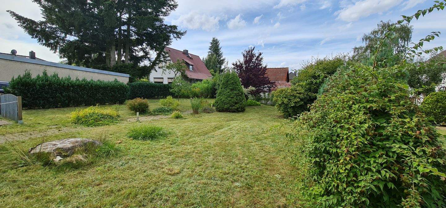 Bild 7
