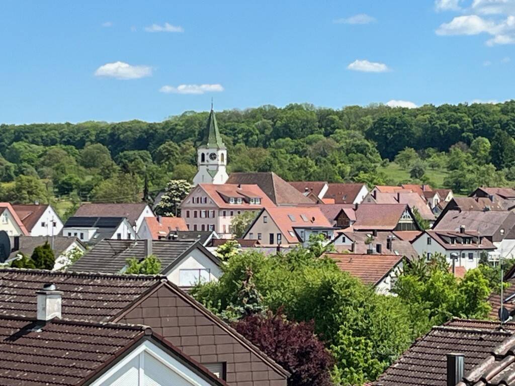 Bild 12