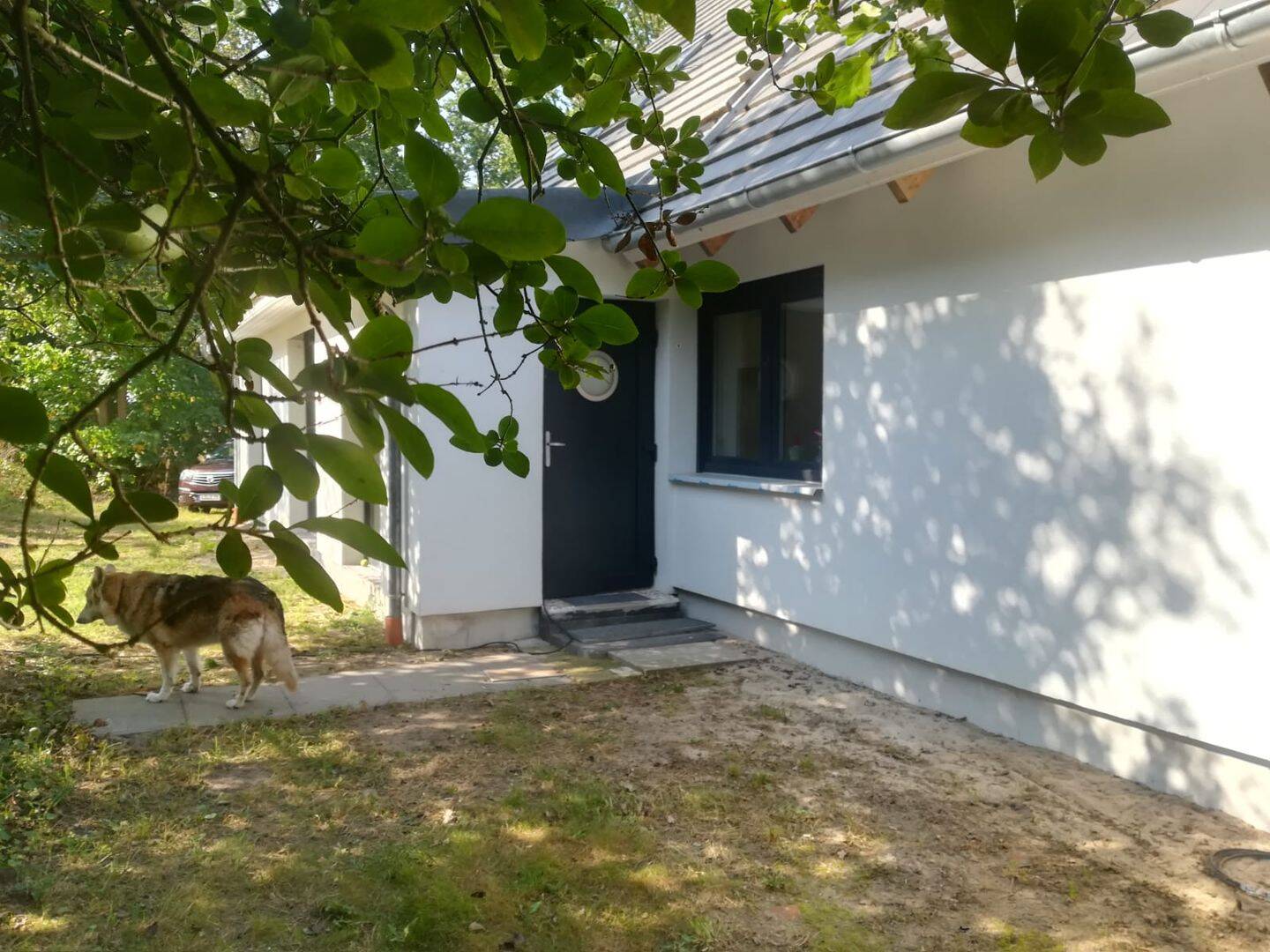 Bild 5