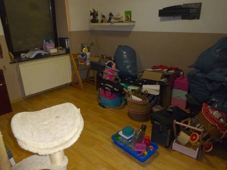 Bild 11