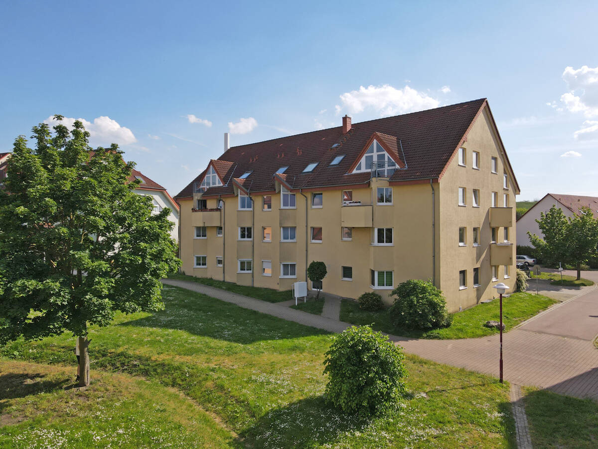 Bild 7