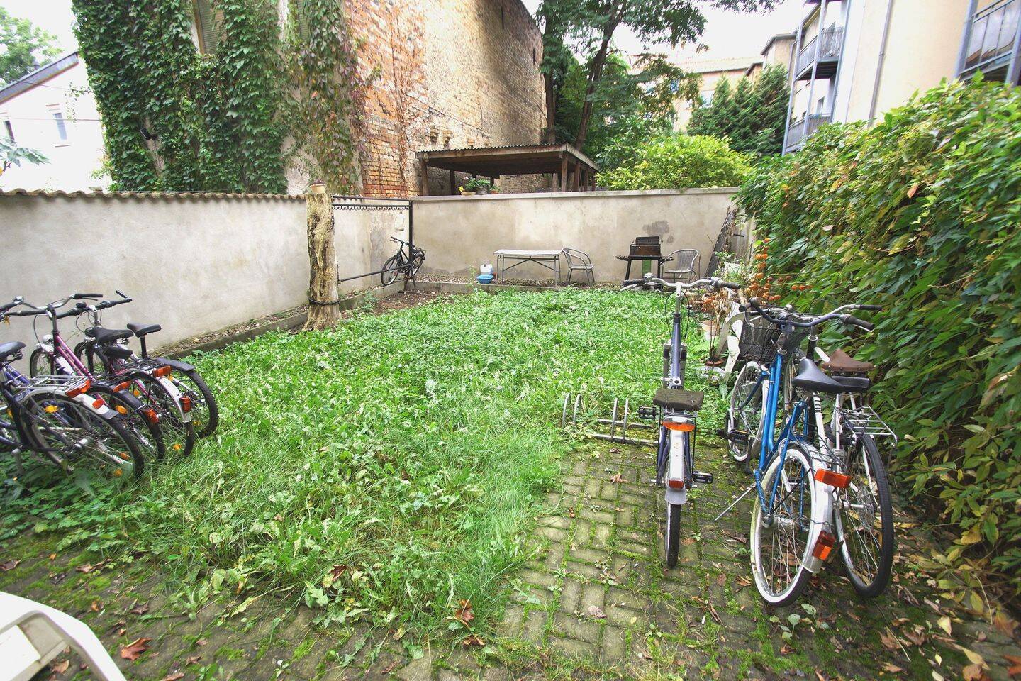 Bild 9