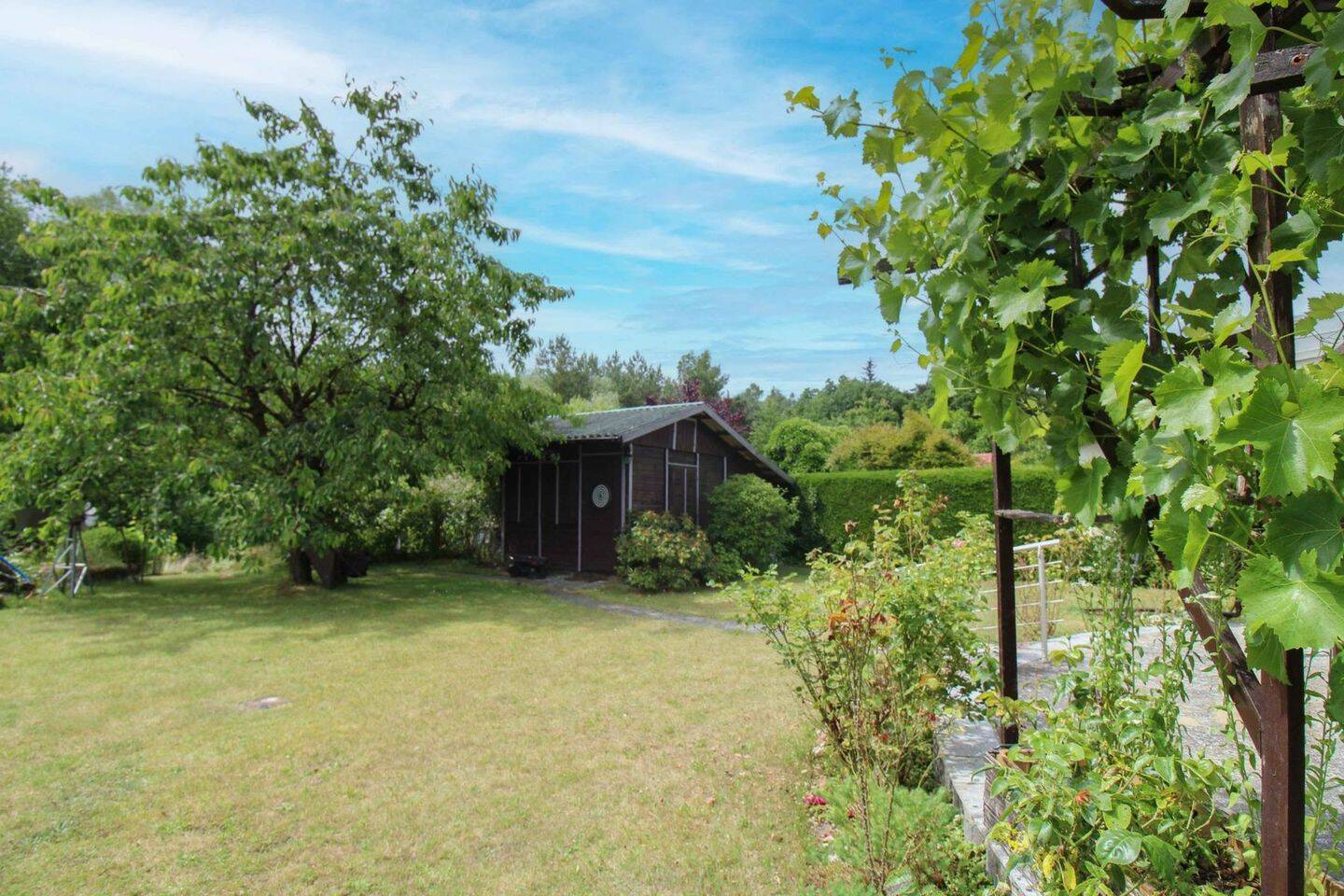 Bild 8