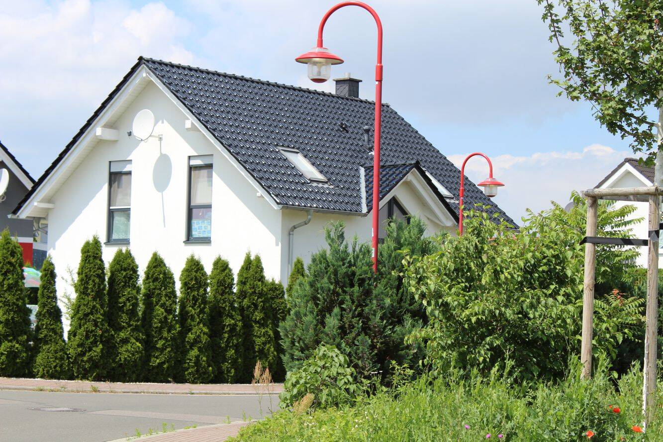 Bild 7