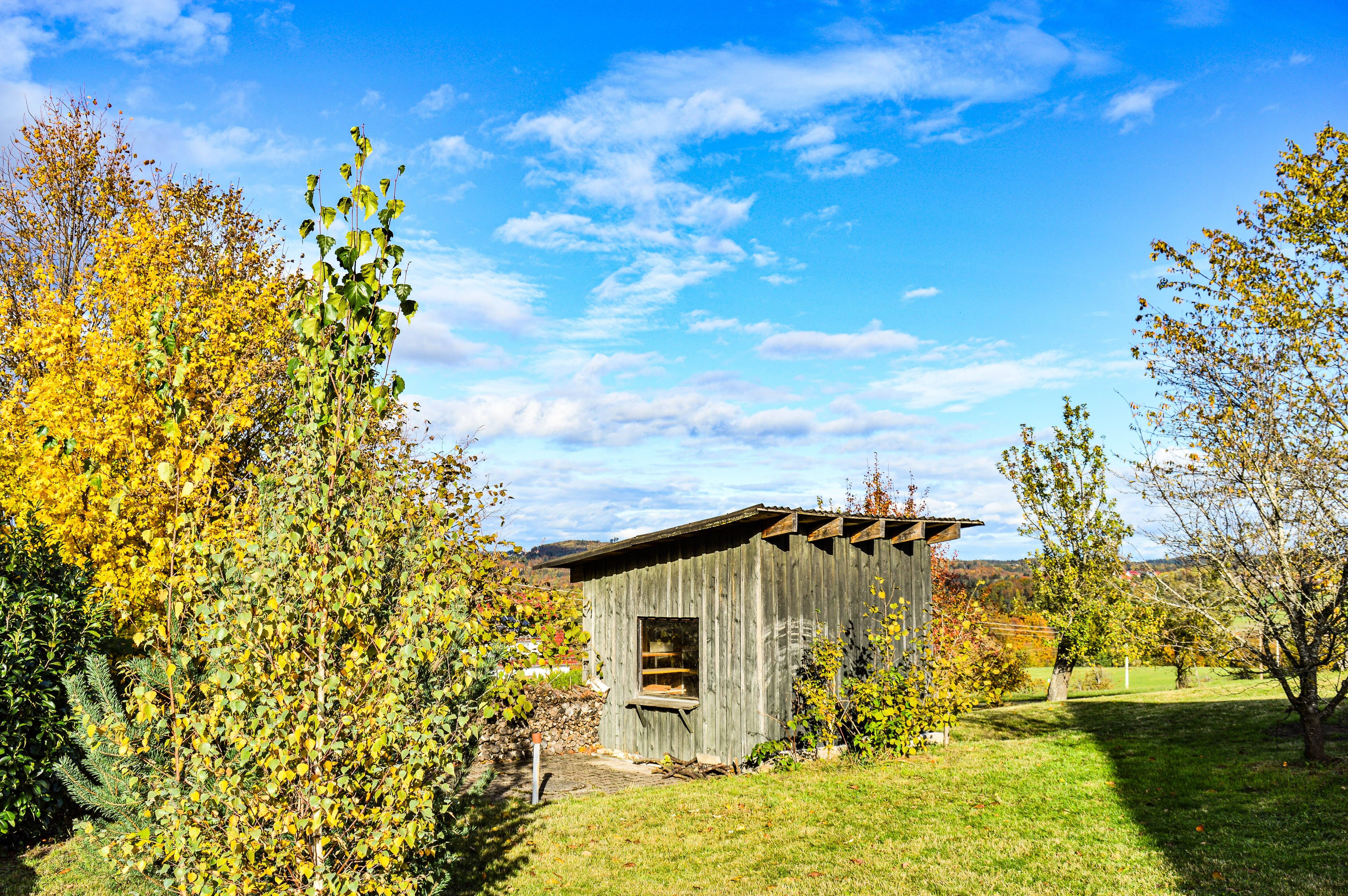 Bild 4