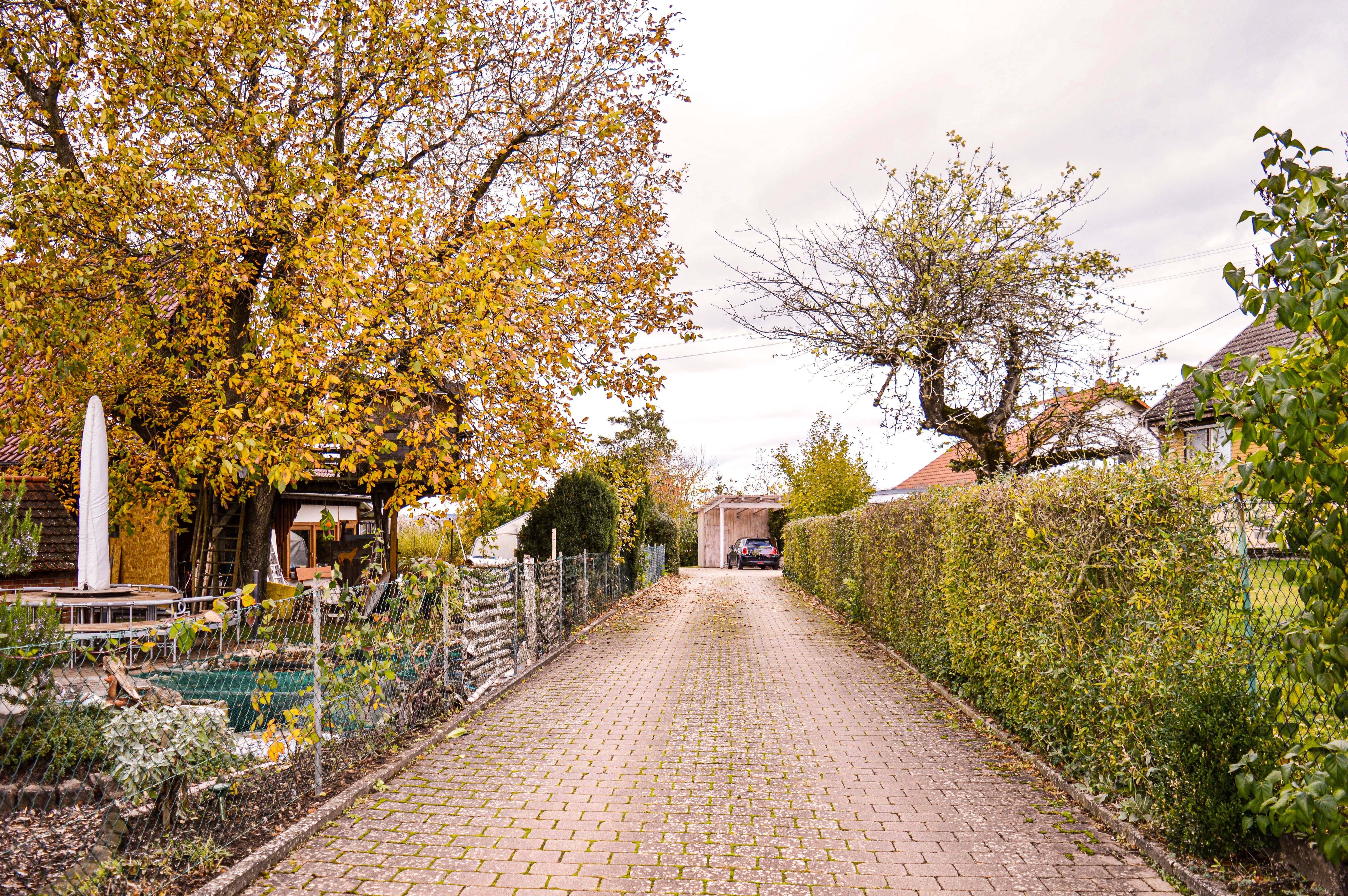 Bild 7