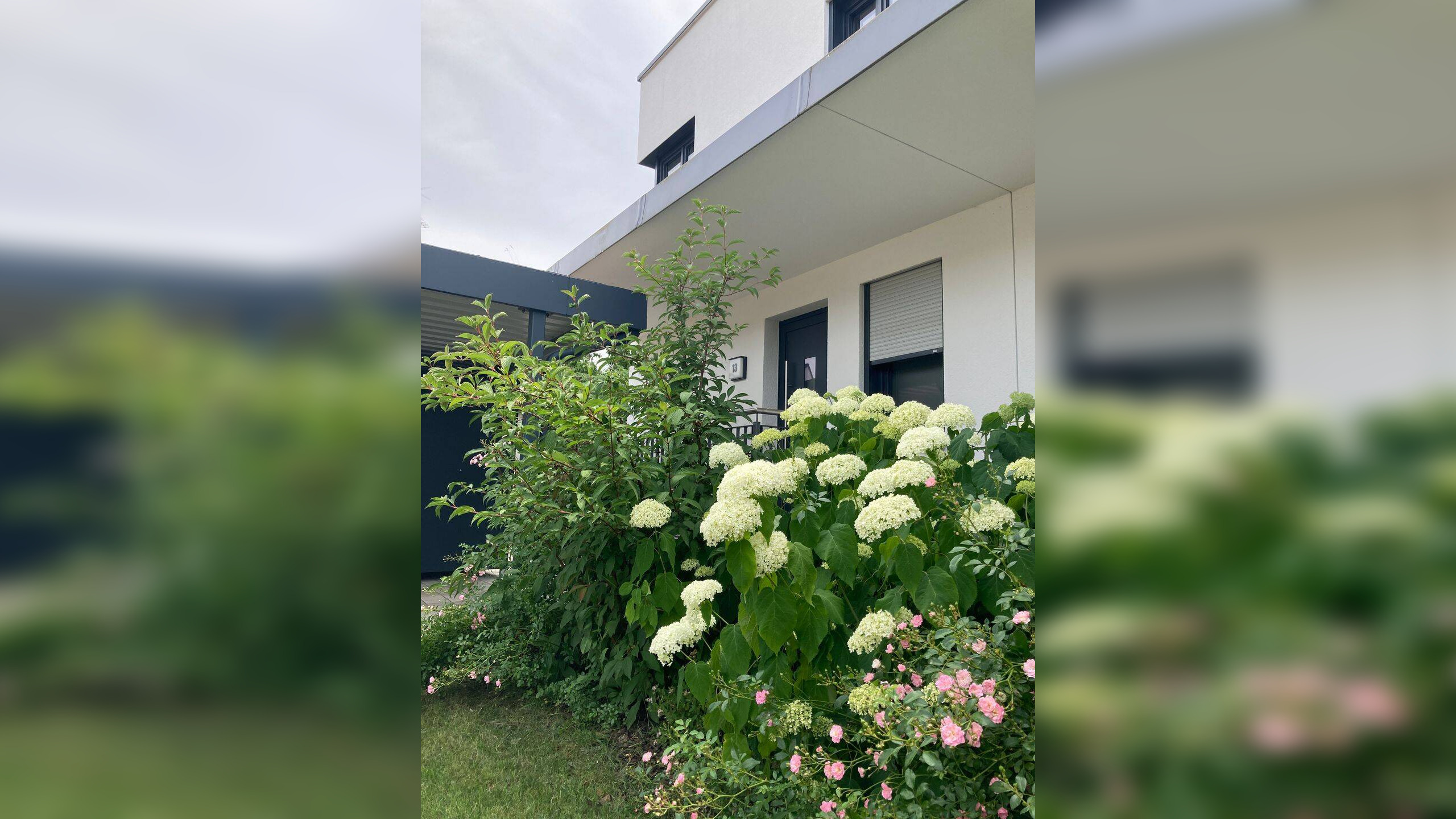 Bild 12