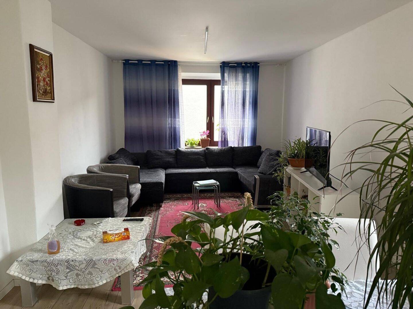 Bild 5