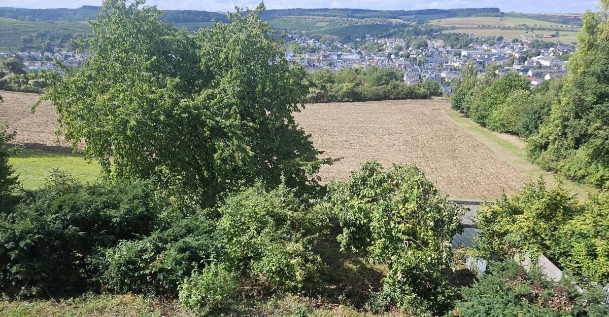 Bild 8