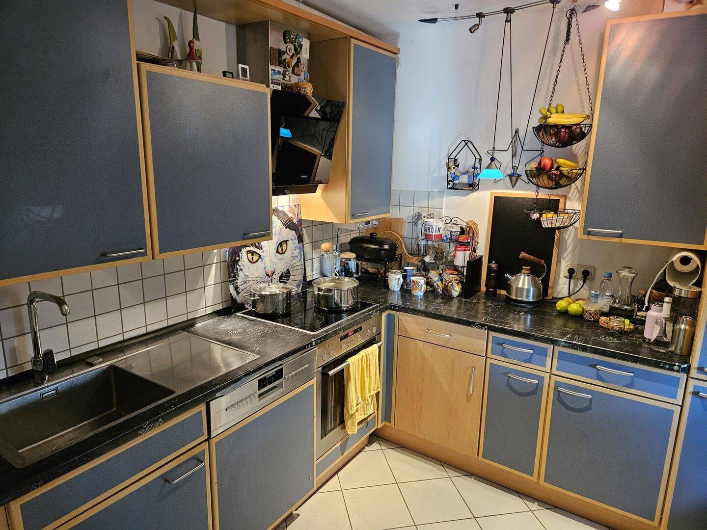 Bild 11