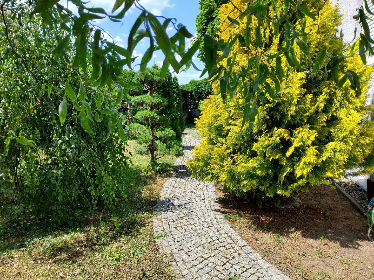 Bild 11