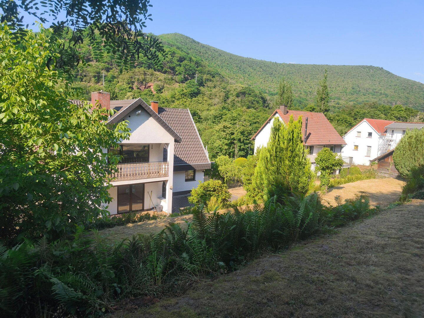 Bild 10
