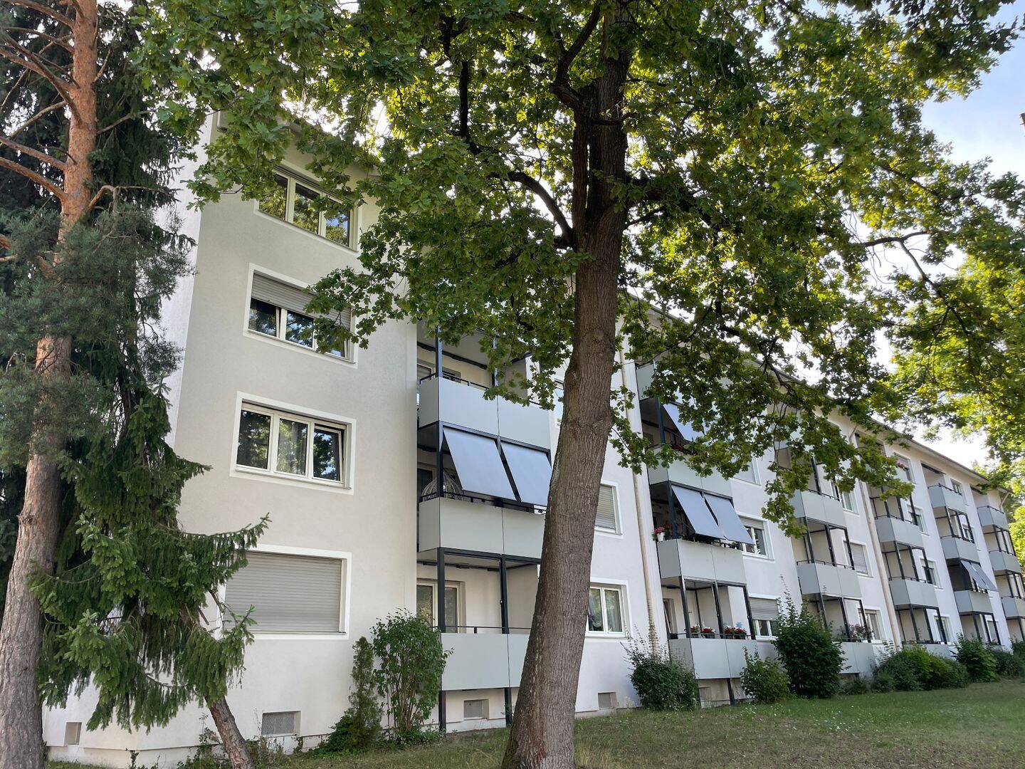 Bild 7