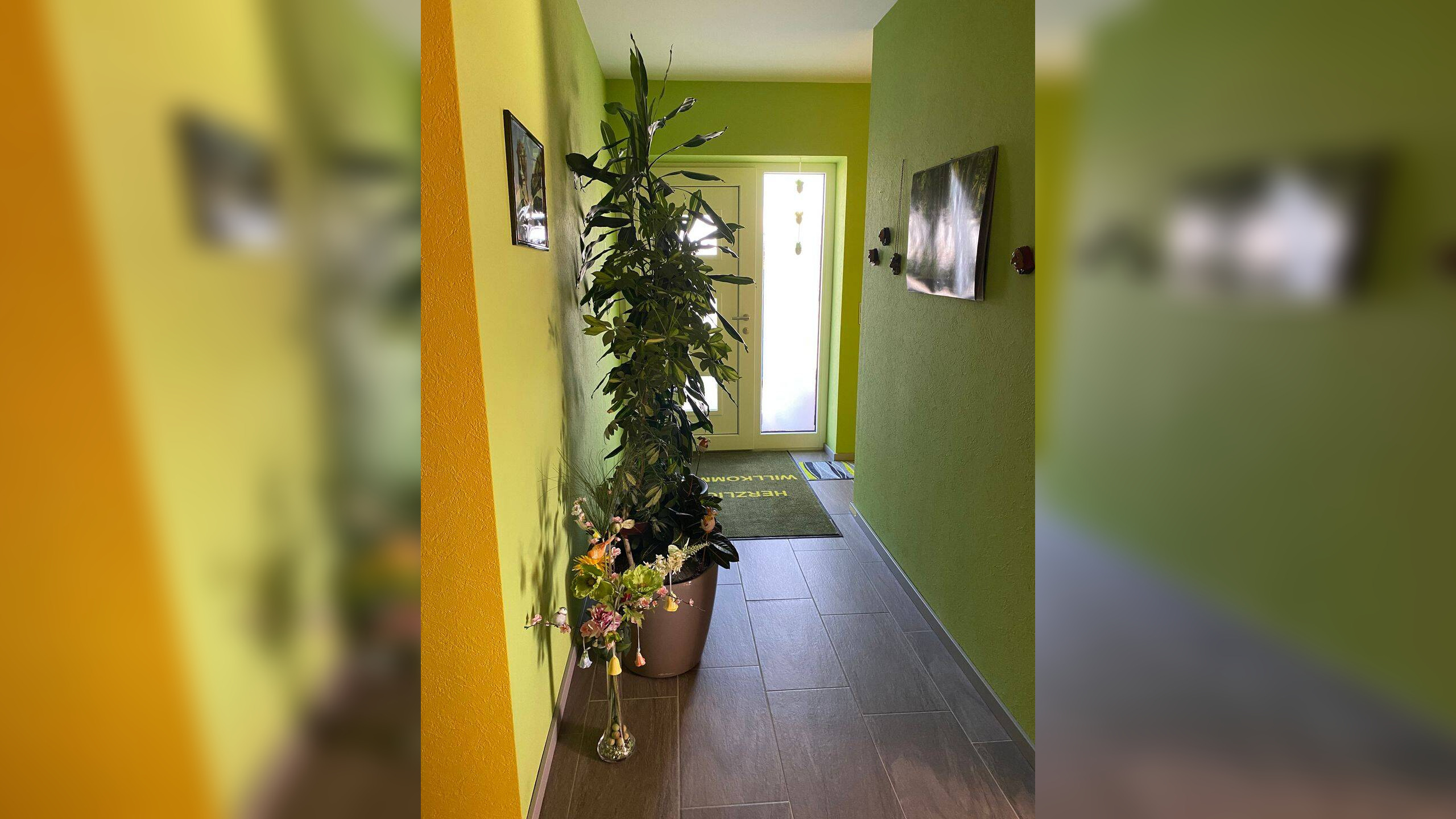 Bild 8