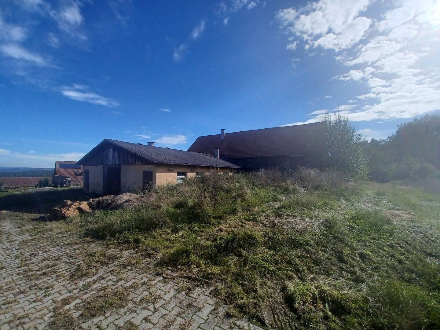 Bild 7