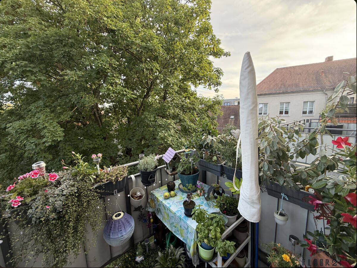 Bild 12