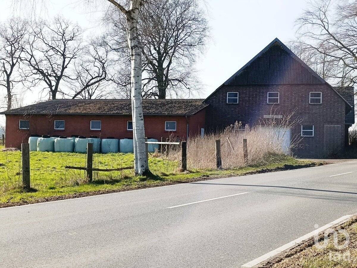 Bild 12