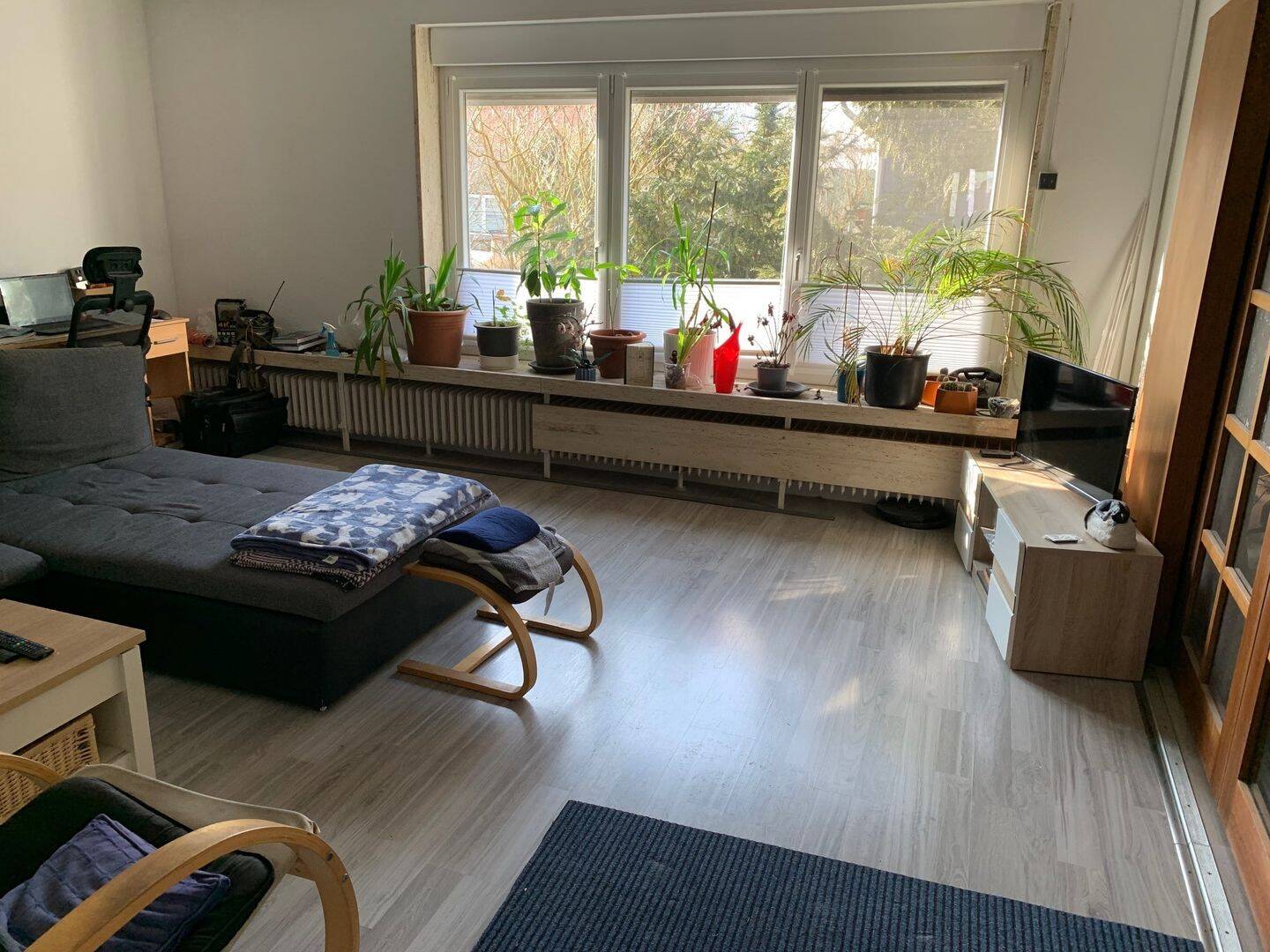 Bild 16