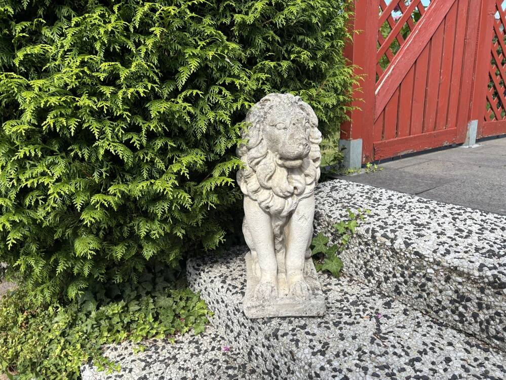 Bild 9