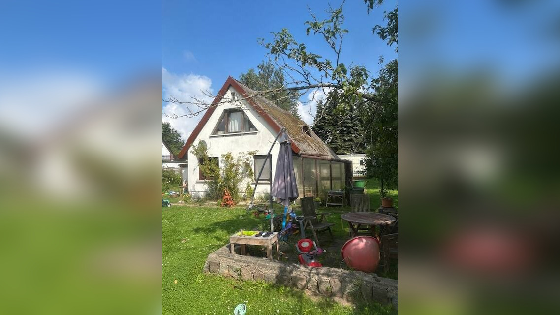 Bild 12