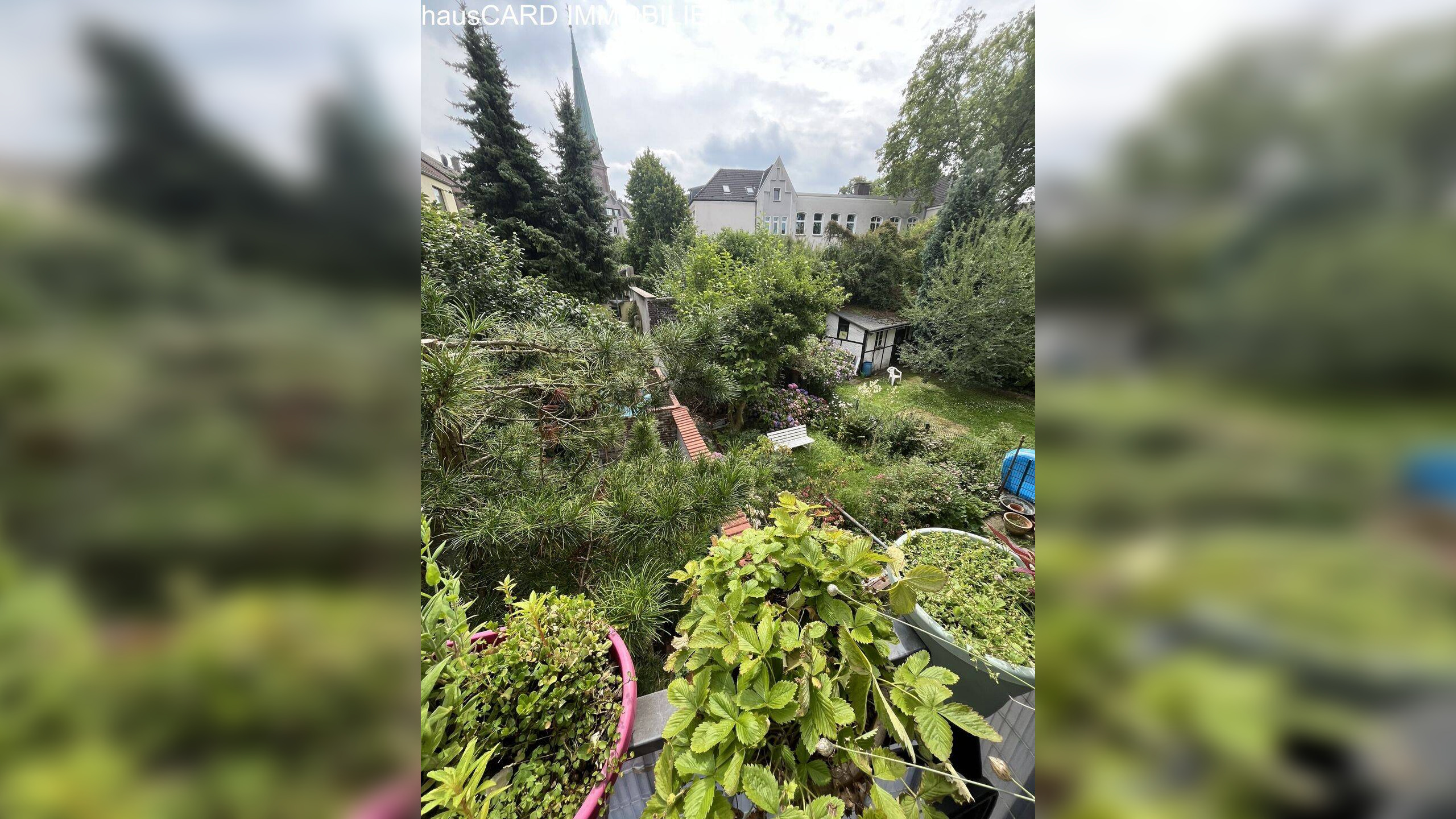 Bild 12