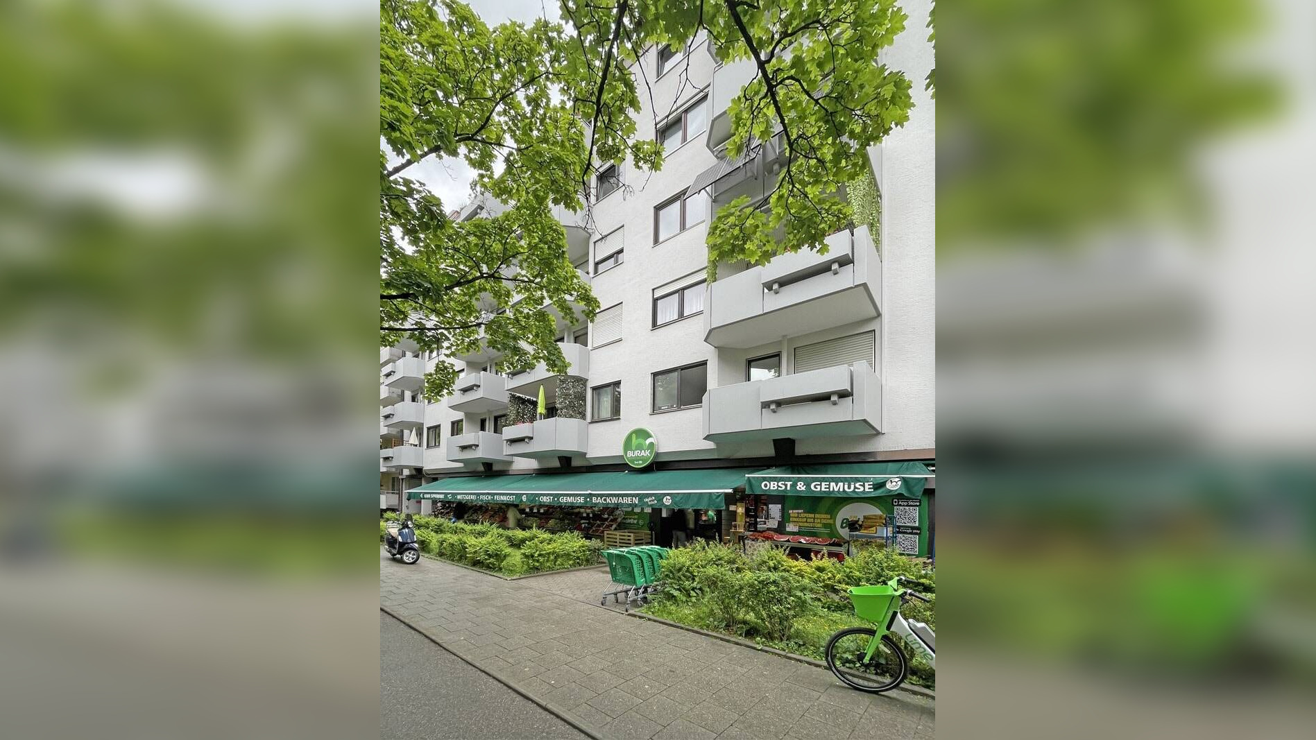 Bild 12