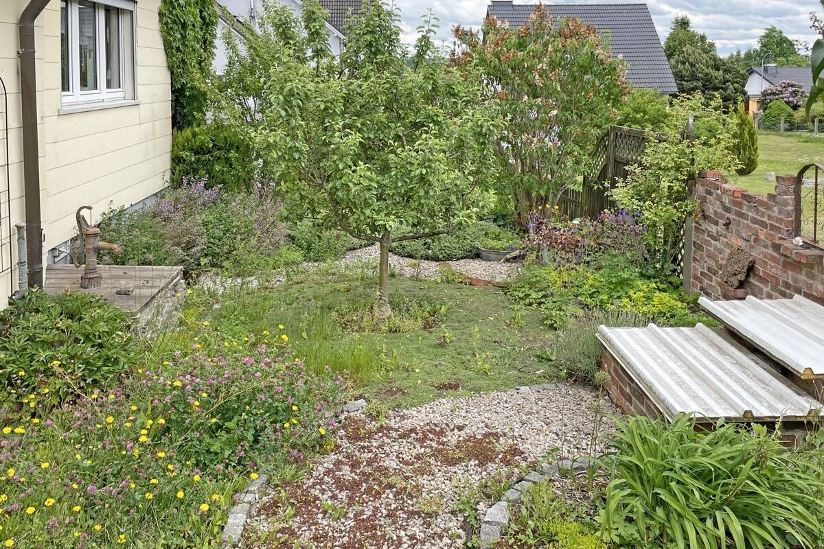 Bild 15