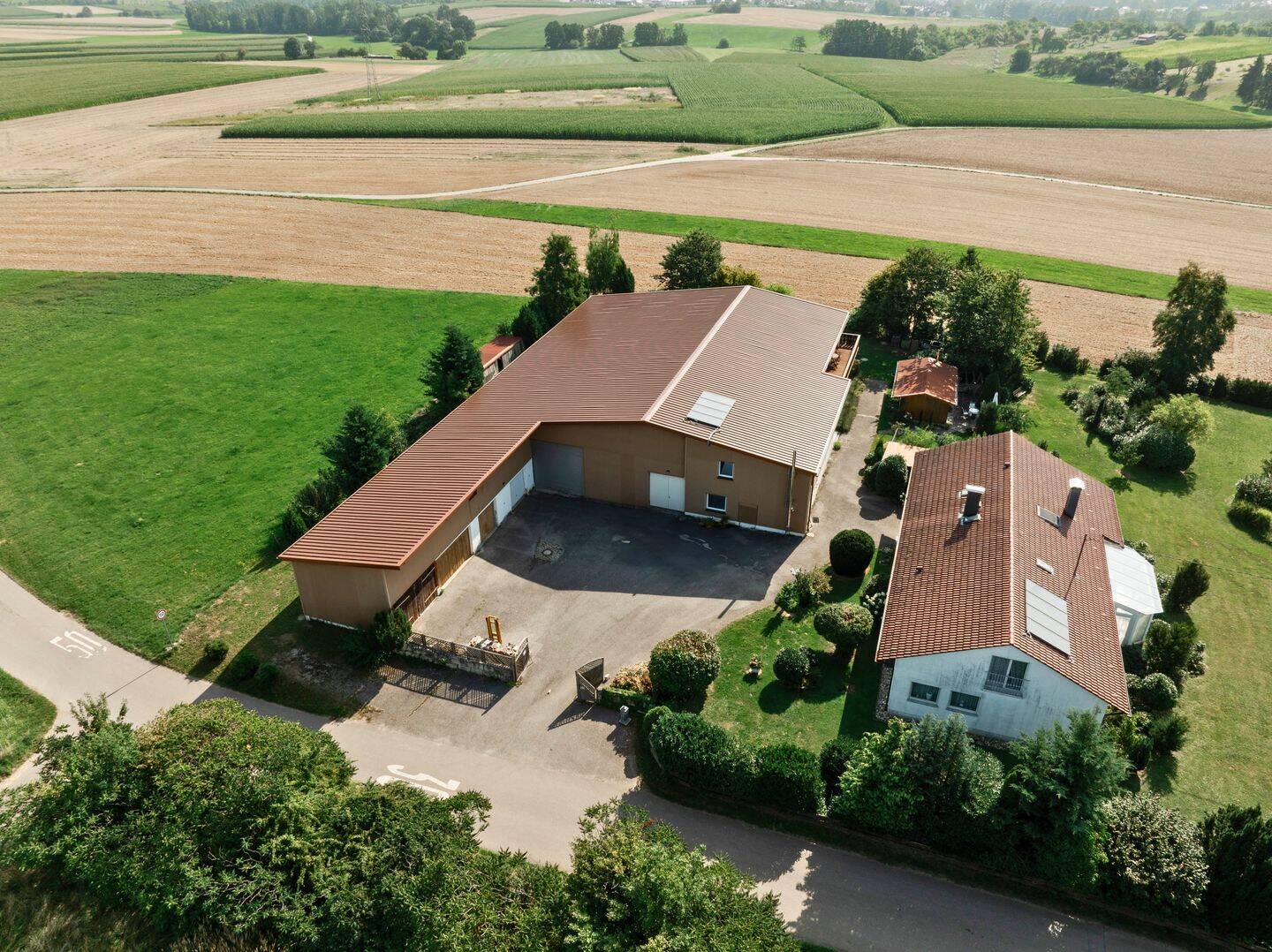 Bild 5