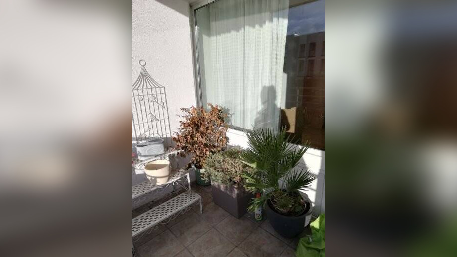 Bild 6