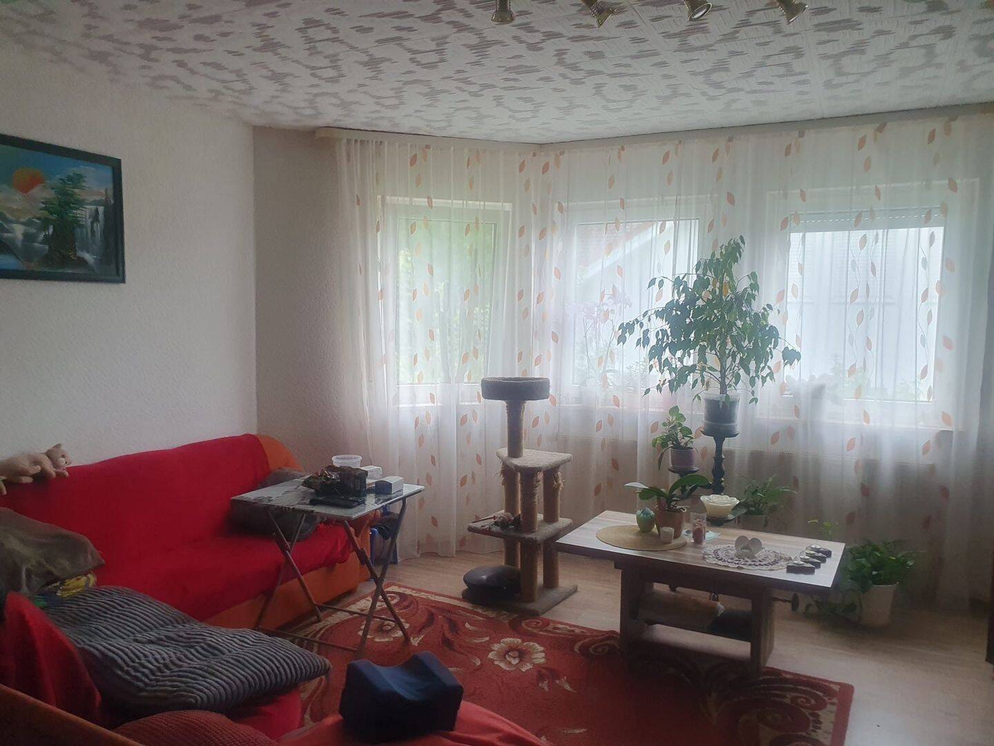 Bild 5