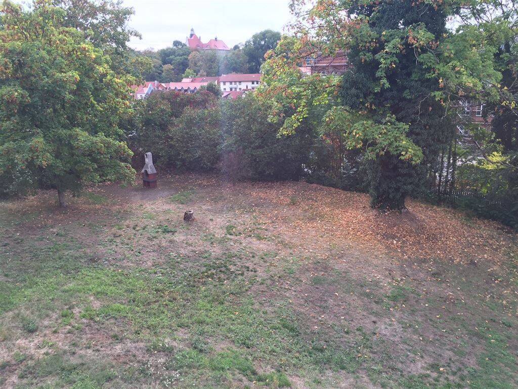 Bild 9