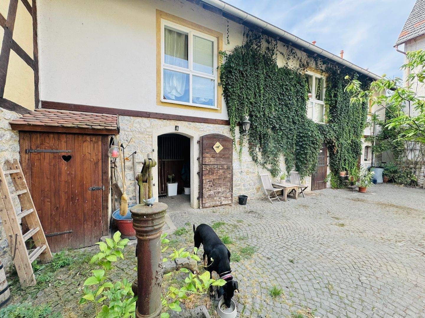 Bild 7