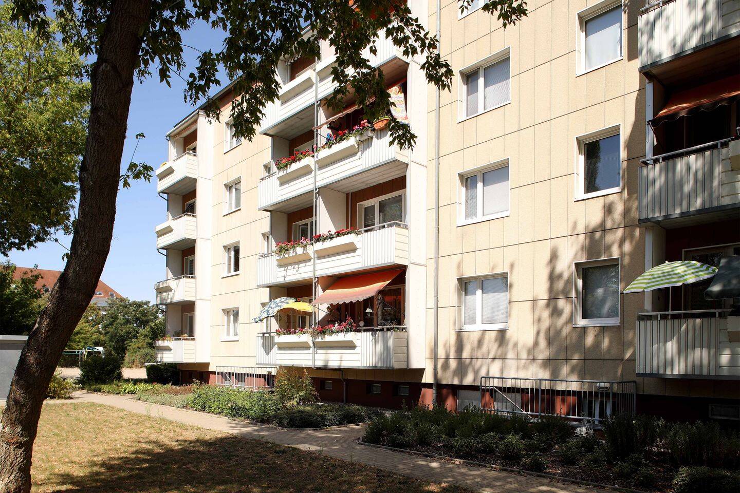 Bild 4