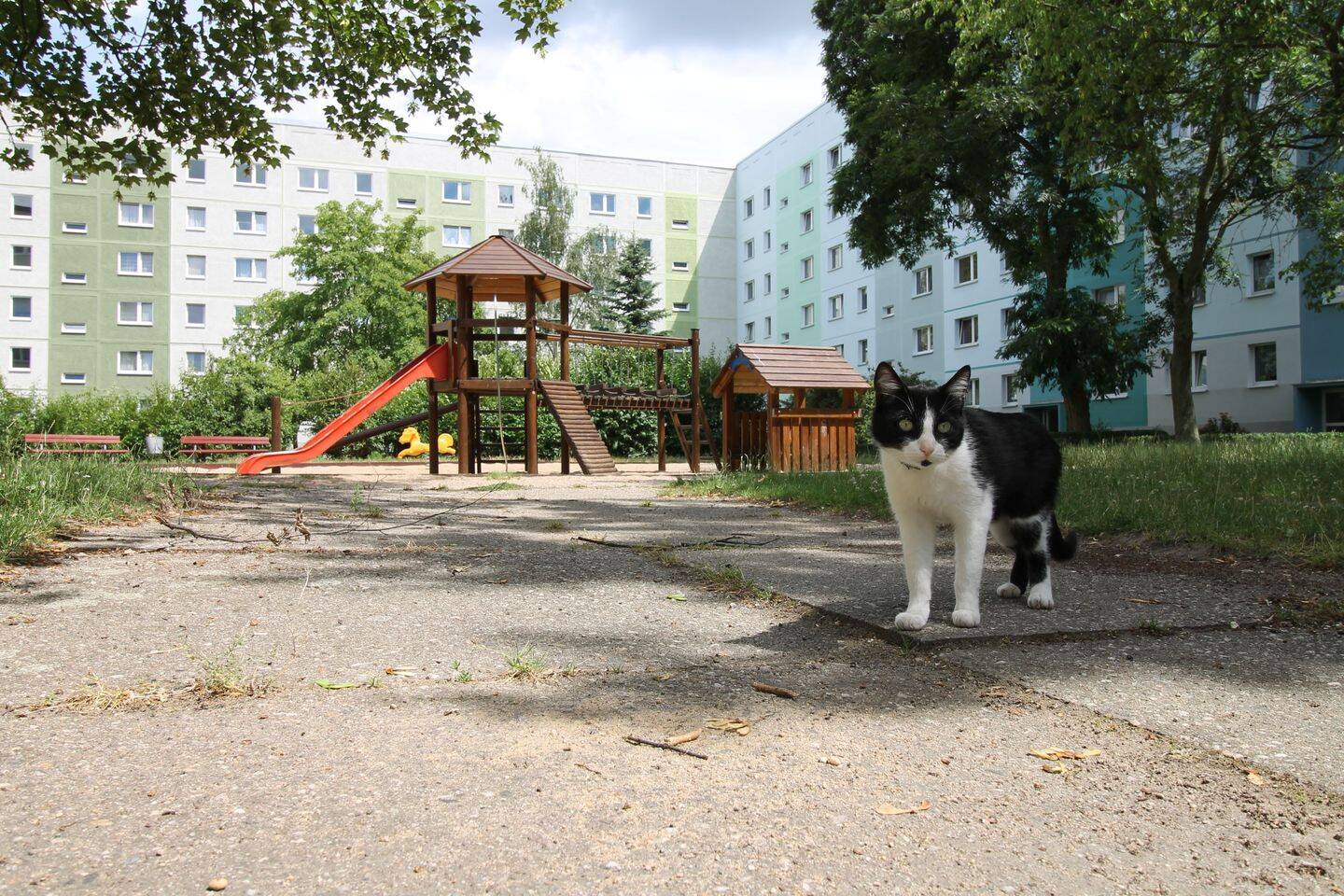 Bild 11