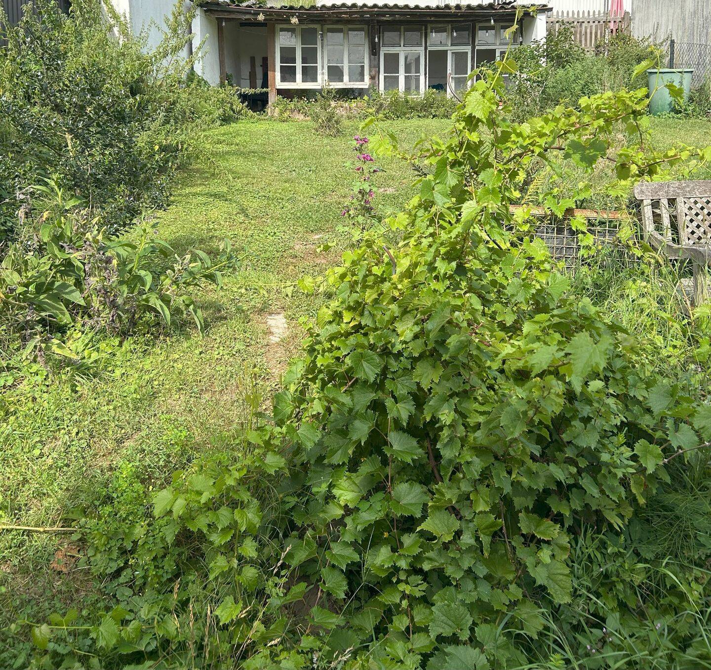 Bild 8