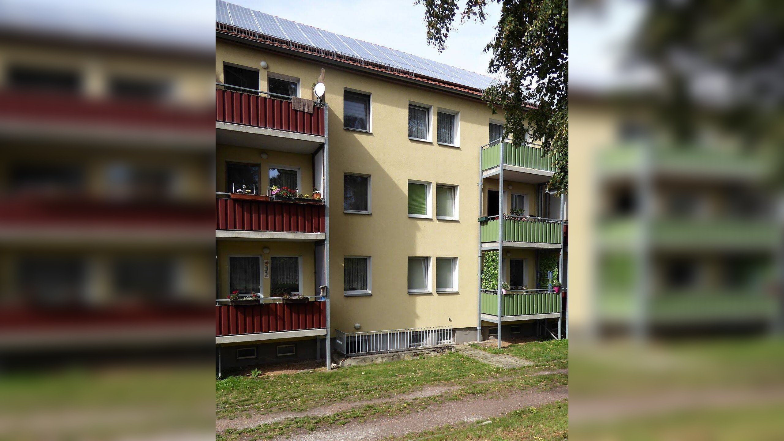 Bild 11