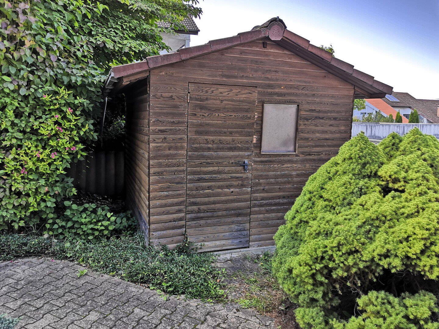 Bild 6