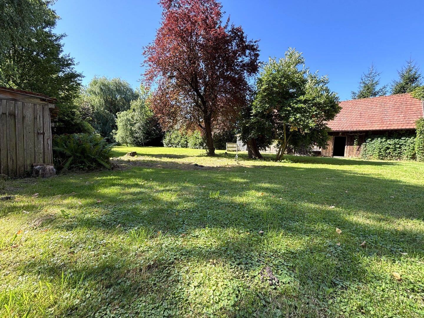 Bild 12