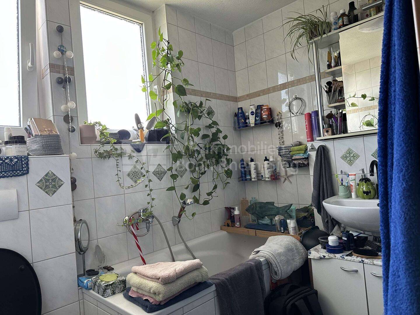 Bild 9