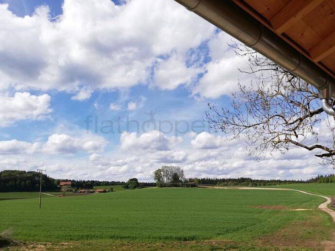 Bild 16