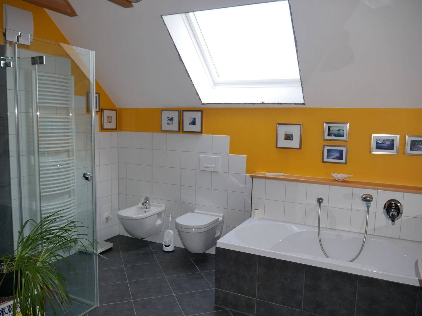 Bild 19