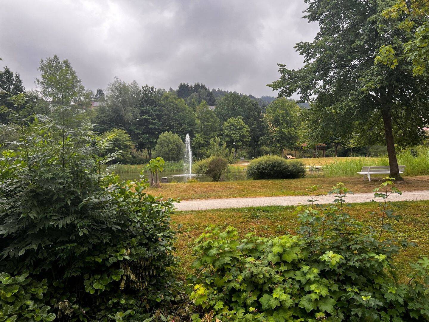 Bild 7
