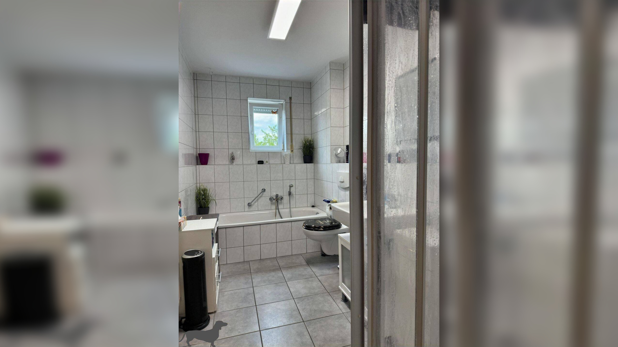 Bild 8