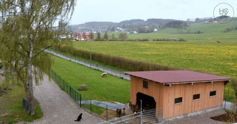 Bild 14